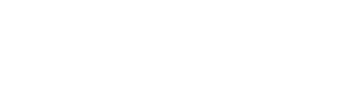 DS LATAM Partner