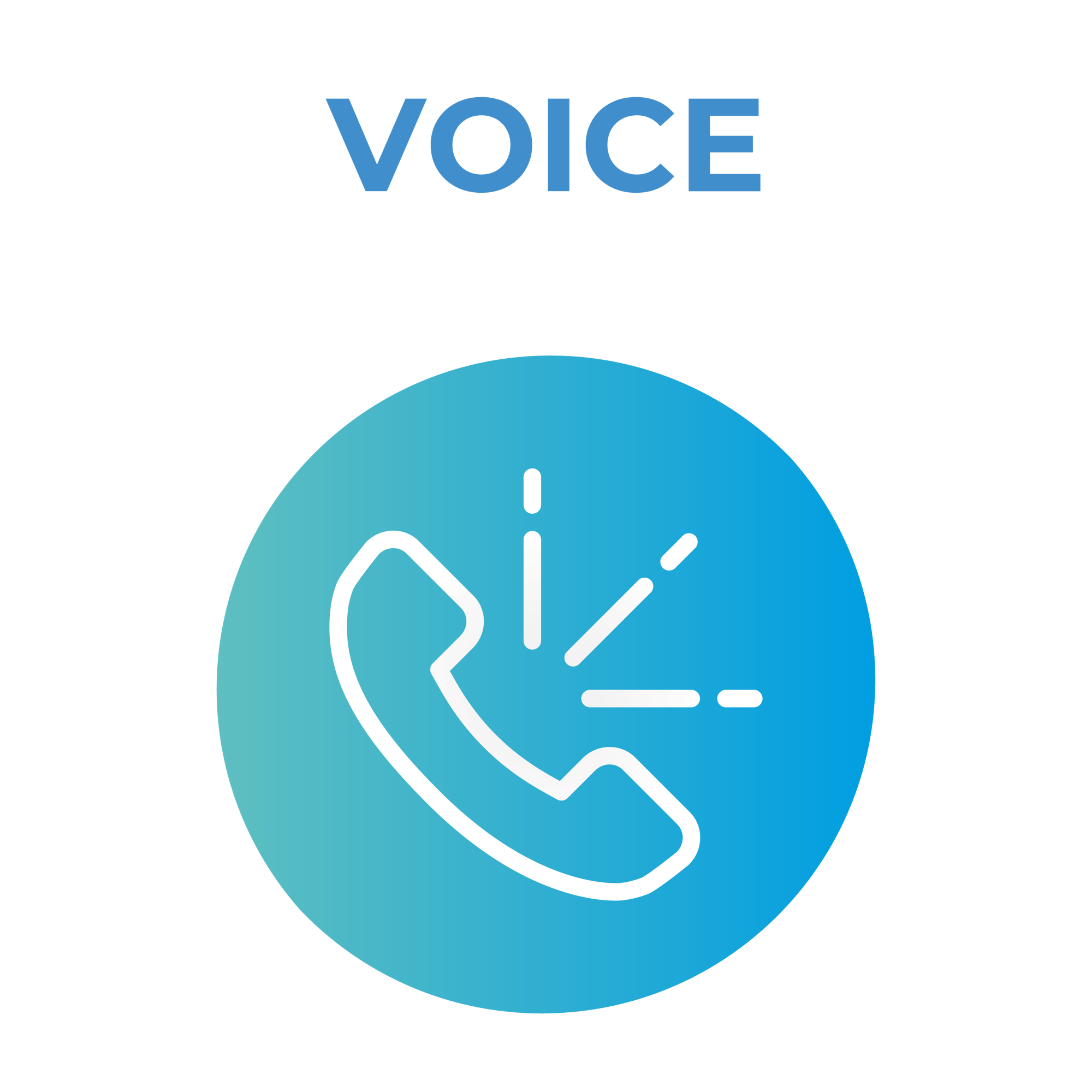 Voice